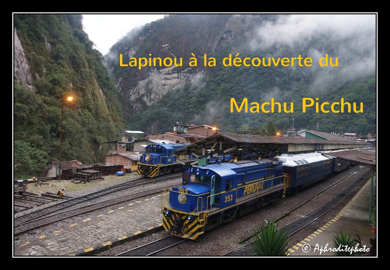 Lapinou discovers Machu Picchu 2014